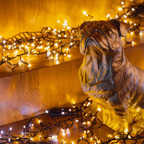 Серия светодиодных ленточных светильников с прозрачными выпуклыми линзами 240 В, сглаживаемые более 30000 часов