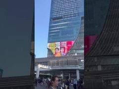 Гибкий дисплей